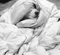 screenshot-2016-10-31-17-50-09