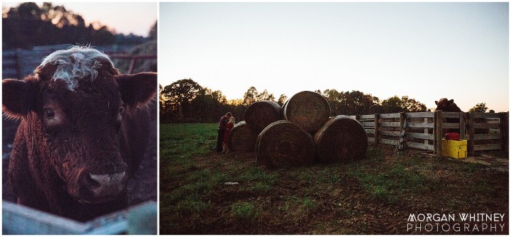 Karrie + Henry's Engagement Photoshoot